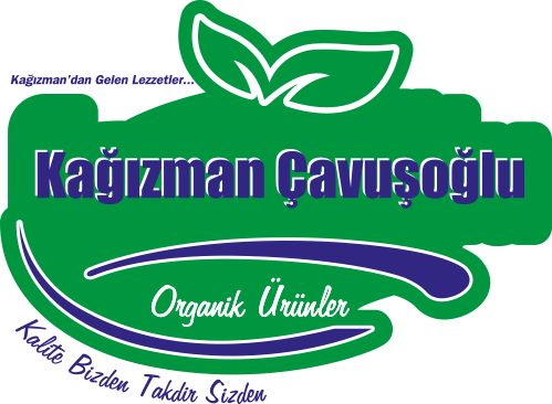 IMG-LOGO